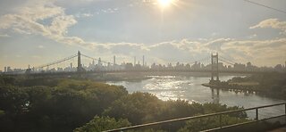 APOSTATE RADIO 029: Leftist Violence, & NYC's Mayor's Race (Guests: Lattina Brown and David Sivella)