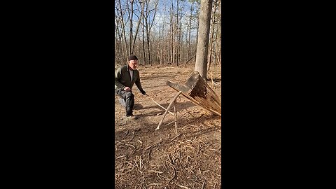 large Figure-4 deadfall trap. Primitive