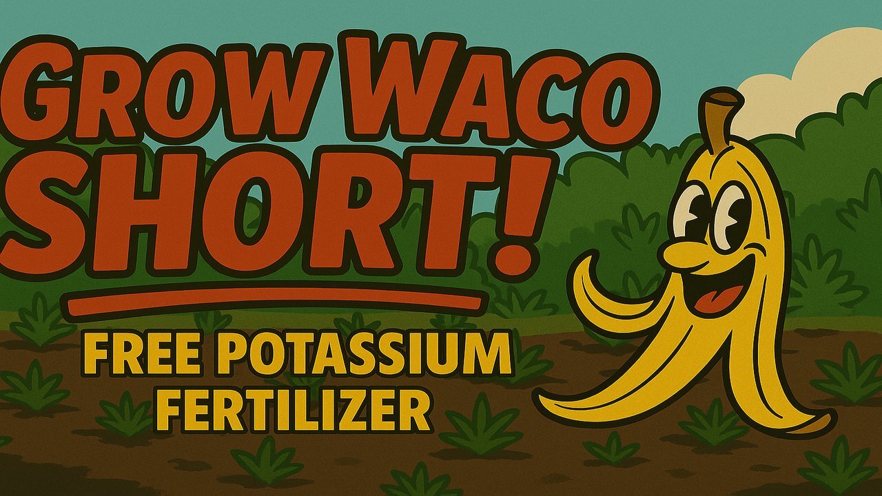 GROW WACO SHORT! - Free Potassium Fertilizer!
