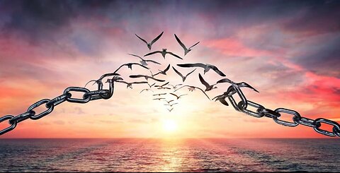 Forgiveness, what does it look like?