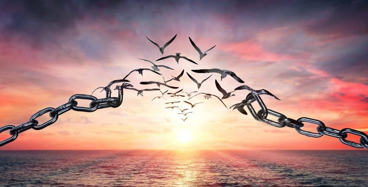 Forgiveness, what does it look like?