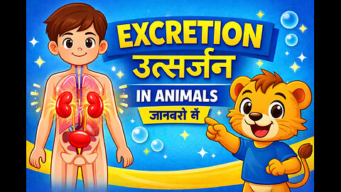 Excretion in Animals | Human Excretory System | Life Processes | Curious Cub