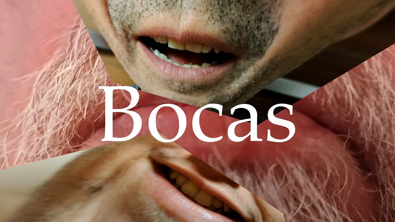 Soneto. Bocas