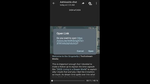 Documentary: Something about the Singularity