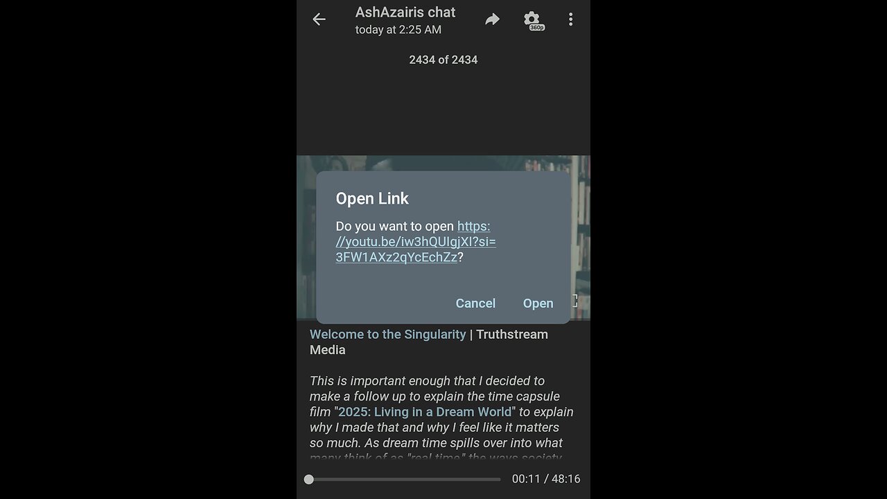 Documentary: Something about the Singularity