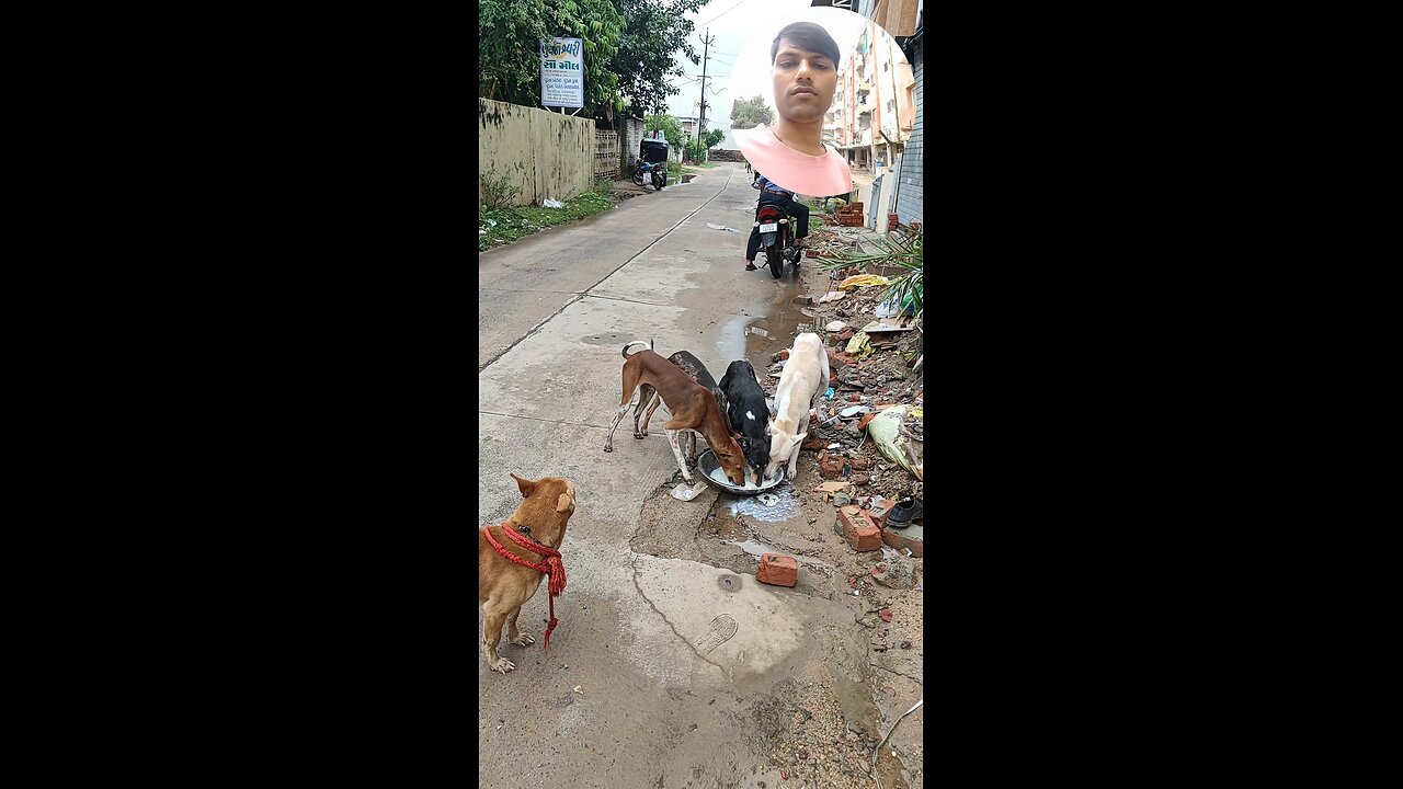 jivdaya mehsana suvichar jain stavan jain suvichar #music #song #live #devotional