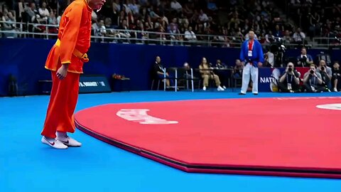 Fighting kung fu