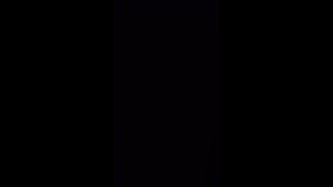 The "🤔Are the 4 or 5 real people worth the gigs of space for visuals?" session part 3