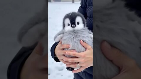 Cuteness 🥰😍