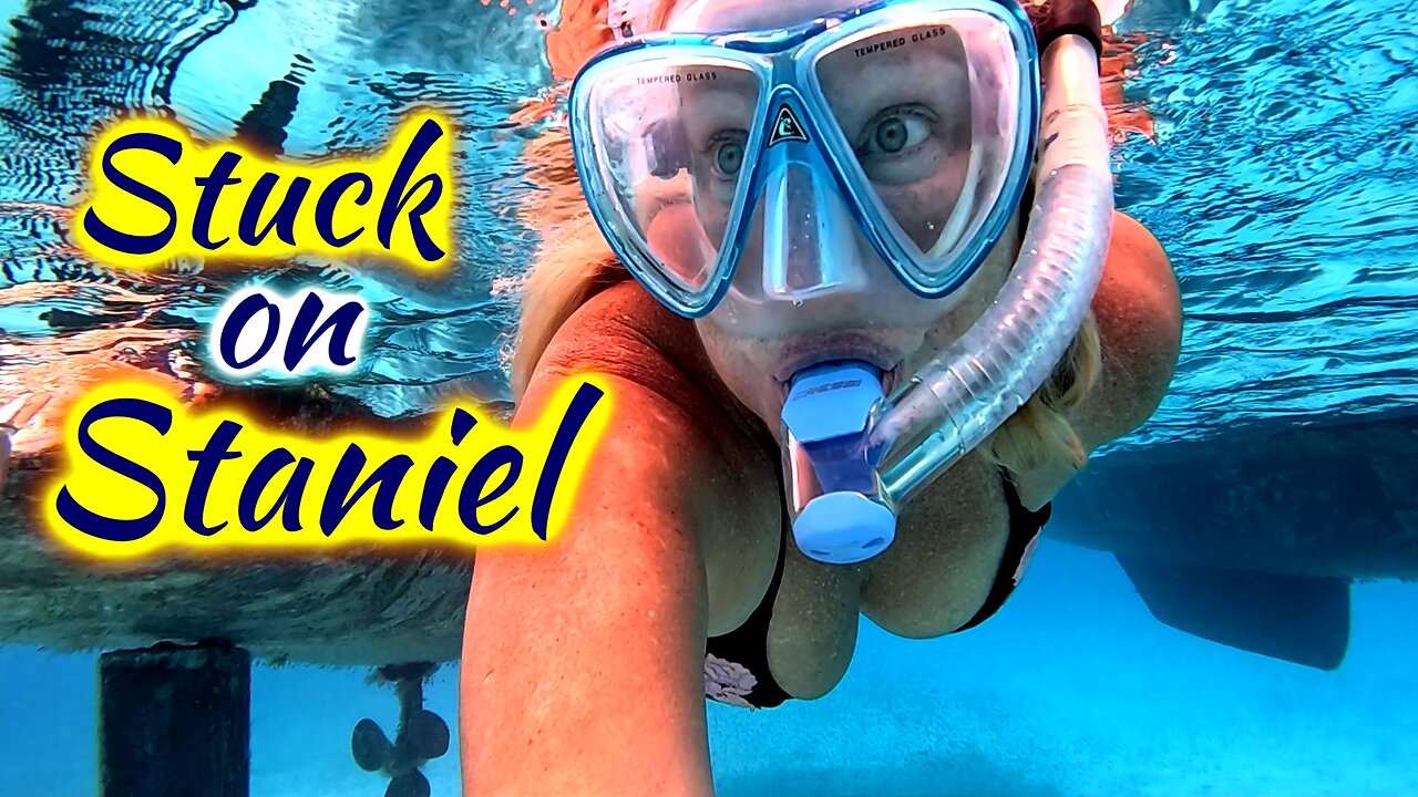 SDA217 Stuck on Staniel: Hand Steering and Stingrays