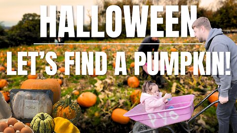 BRITS go Pumpkin Picking for the first time! HALLOWEEN is so much FUN! 🇬🇧 🇺🇸