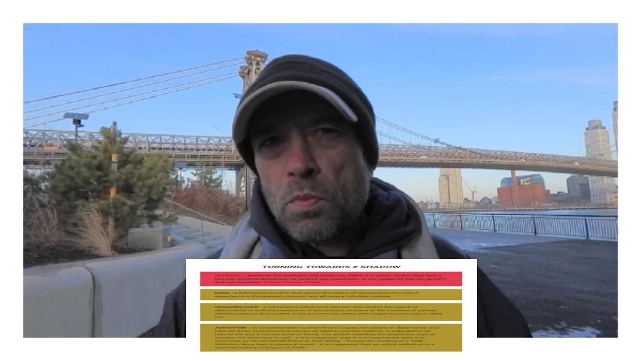 TTzS: INNER ORDER & EXTERNAL CONTROL a follow up TURNING TOWARDS z SHADOW