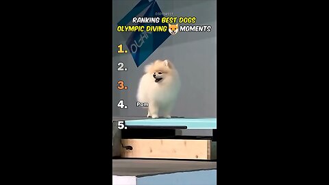 Ranking Best Dogs Olimpic D triving Moments AI