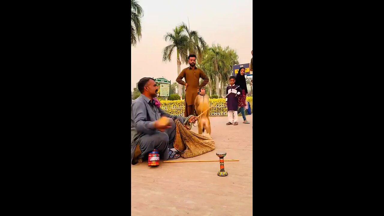 enjoy my friend