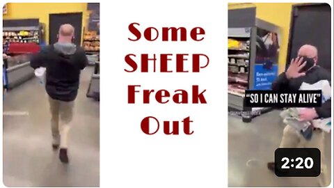 "Sheep Experience Sudden Panic"