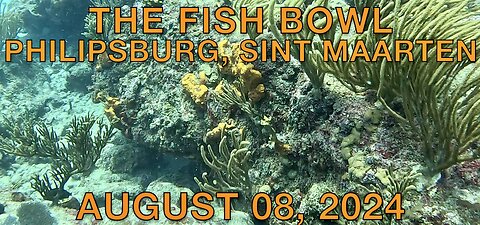 SCUBA Diving the Fish Bowl in Philipsburg, Sint Maarten