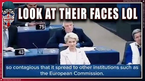 "Unveiling the Inner Workings: An Insider's Perspective on the EU Project"