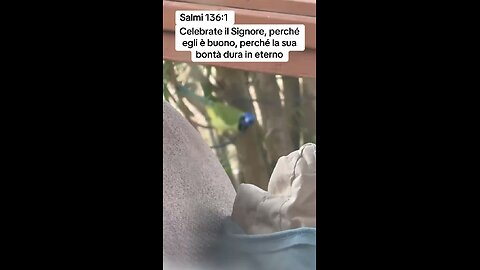 Salmi 136:1 #italian #Dio #chiesa #Gesu