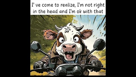 An Old Truck Drivers Perspective.