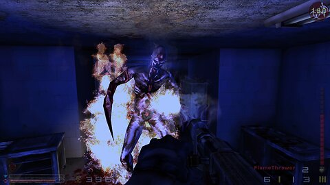 Flame On - Killing Floor mod