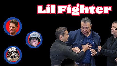 Lil Fighter