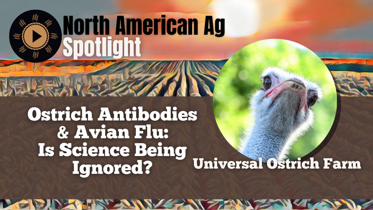 Ostrich Antibodies & Avian Flu: Is Science Being Ignored?