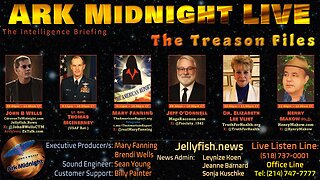 The Intelligence Briefing /The Treason Files - John B Wells LIVE