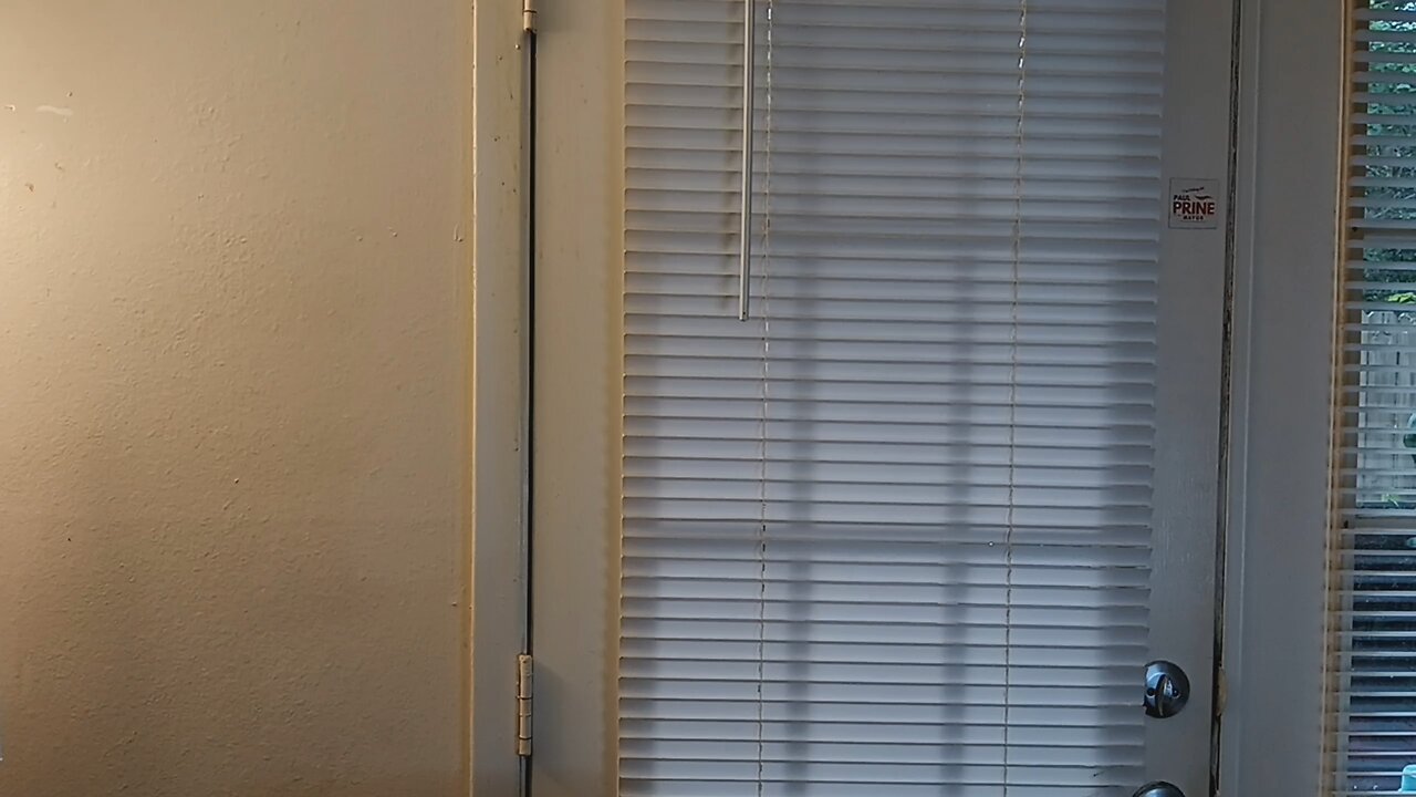 Crazy Protests and Free Stuff!