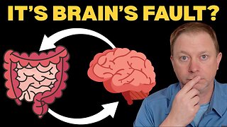 Gut vs Brain Connection: What Really Comes First?