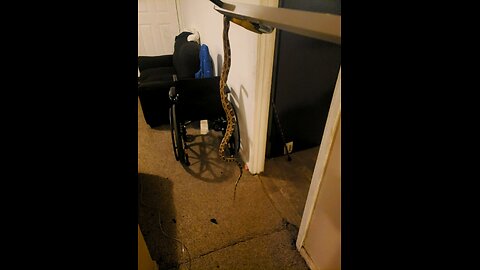 found in step dad kitchen