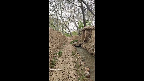 amazing garden