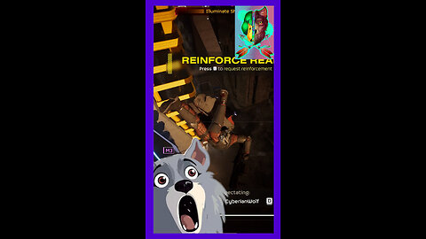 Wolfs Do Not Bounce Well