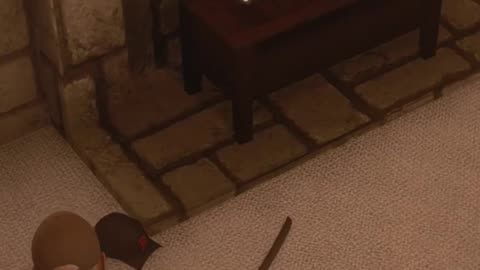 TARGET DOWN - Hitman World of Assassination