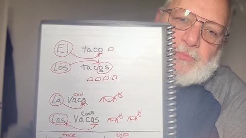 El Los La Las