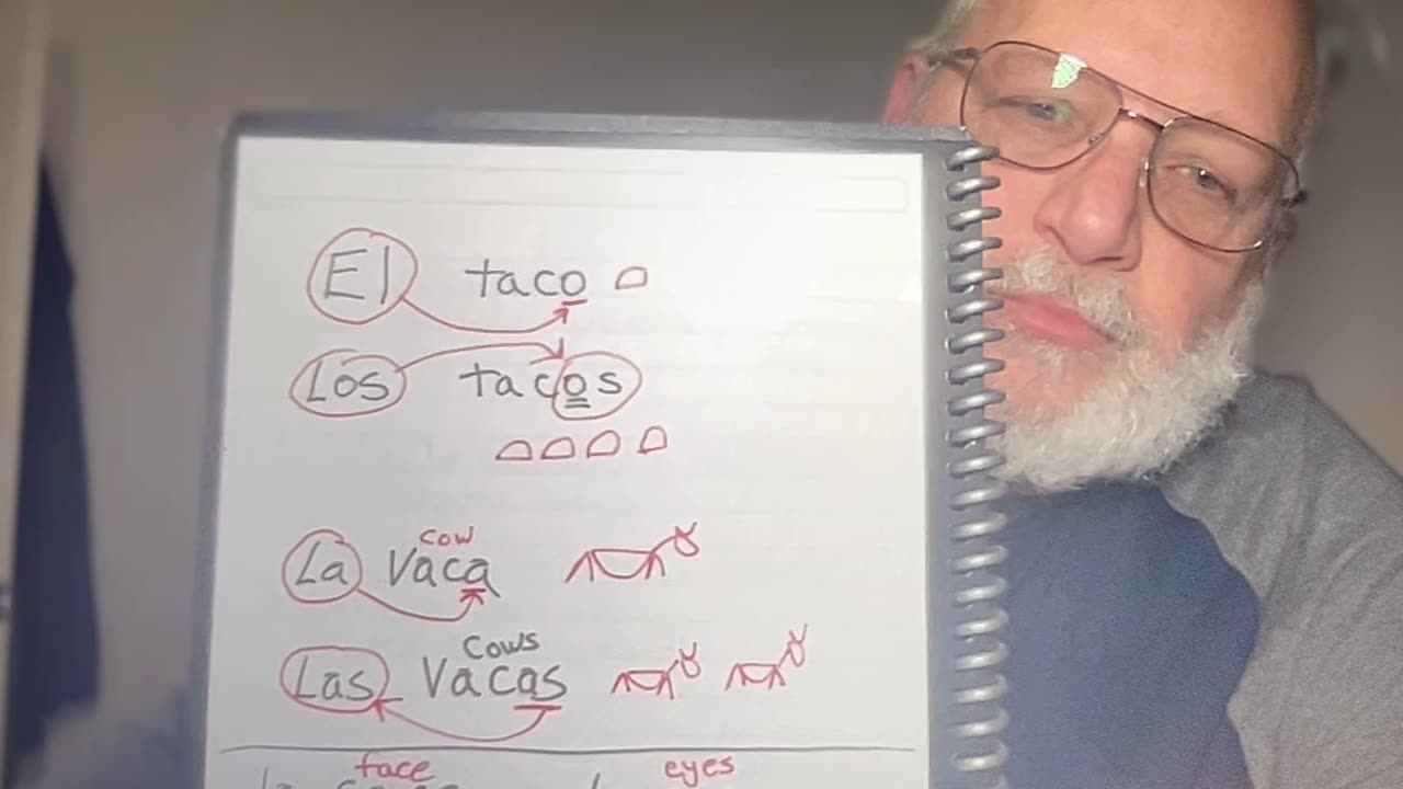 El Los La Las