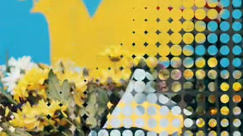 Захисники неба 🎵🇺🇦💪