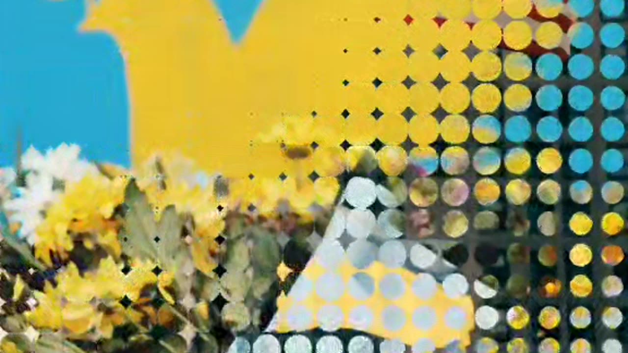 Захисники неба 🎵🇺🇦💪