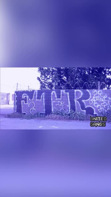 “Varrio FrogTown Rifa” (Elysian Valley)