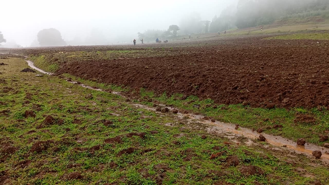 5️⃣ 🌱 Planting Season in the Highlands: All Hands On Deck!