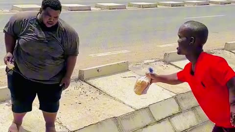 Funny videos