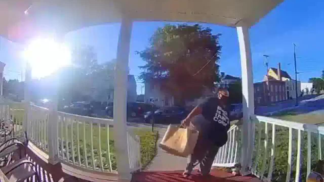 Average BNWO Supporter