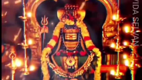குமரி திருக்கோயில் சிவனே போற்றி TMS FANS M.THIRAVIDA SELVAN SINGAPORE TMS FANS 2025