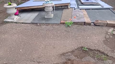 Grave