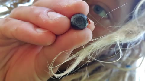 Free food part 3 (SWEDEN)