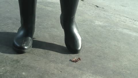 Army Giantess Boot Crush - Candid