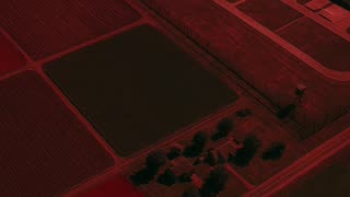 Trump Bans China From Buying U.S. Farmland—Here’s Why