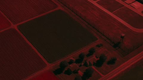 Trump Bans China From Buying U.S. Farmland—Here’s Why