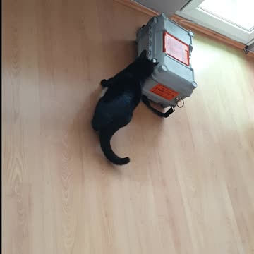 Kotełka i skrzynka montera [9:16]