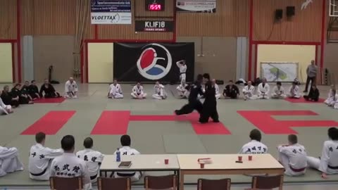 Hankido/Hapkido