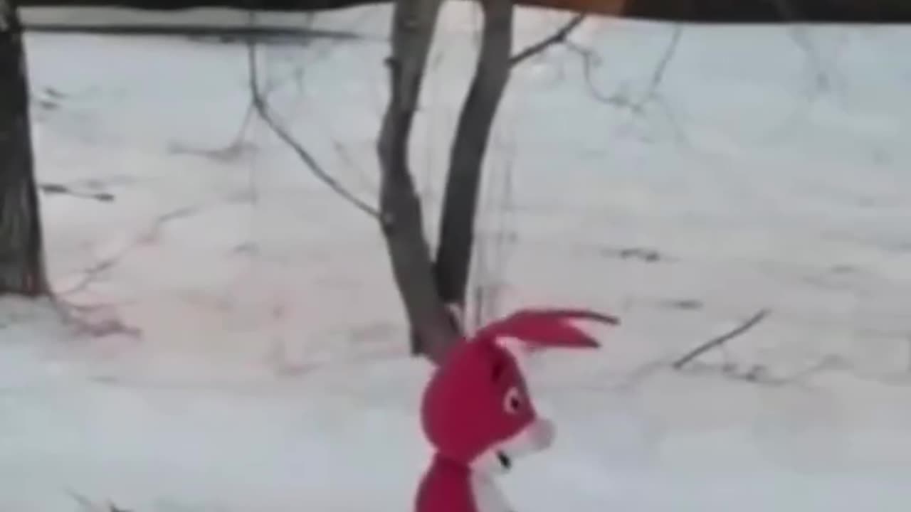 Funny video school kids 🤣